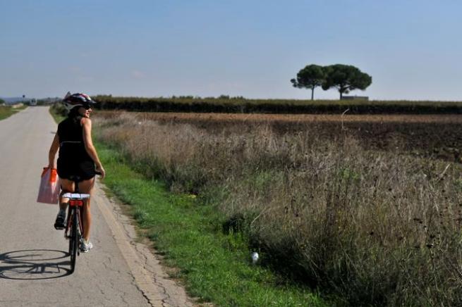   FOTO -   La Puglia in bicicletta - Itinerario rigorosamente su due ruote. tra le bellezze di Alberobello, Ostuni, Gallipoli, S. Maria di Leuca, Otranto. C_2_fotogallery_1019911__ImageGallery__imageGalleryItem_0_image